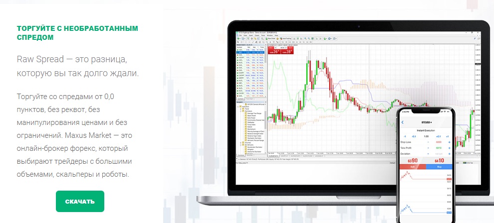 Maxus market - терминал