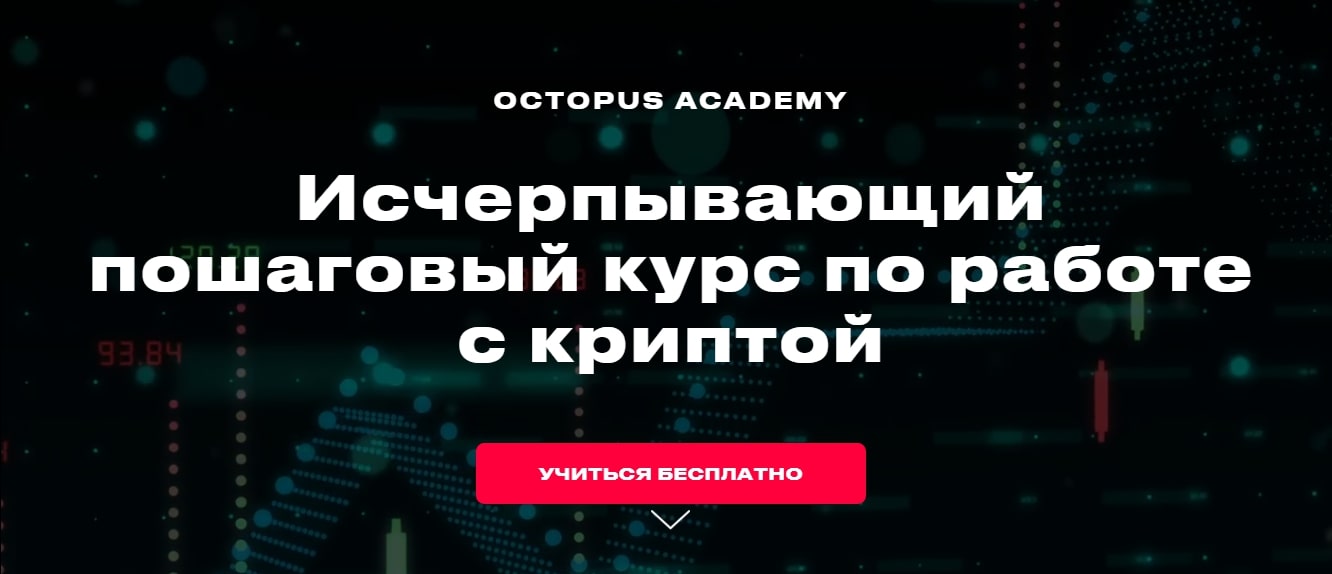 Octopus Academy инфо