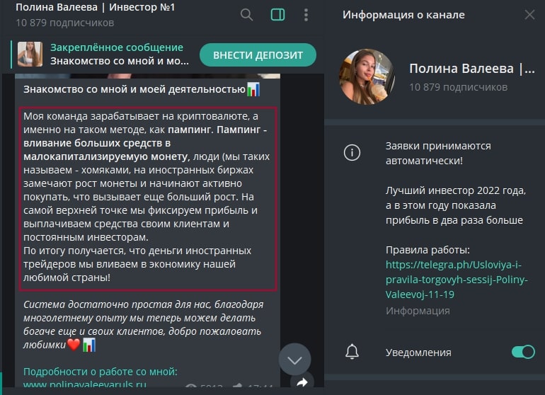 Полина Валеева телеграмм