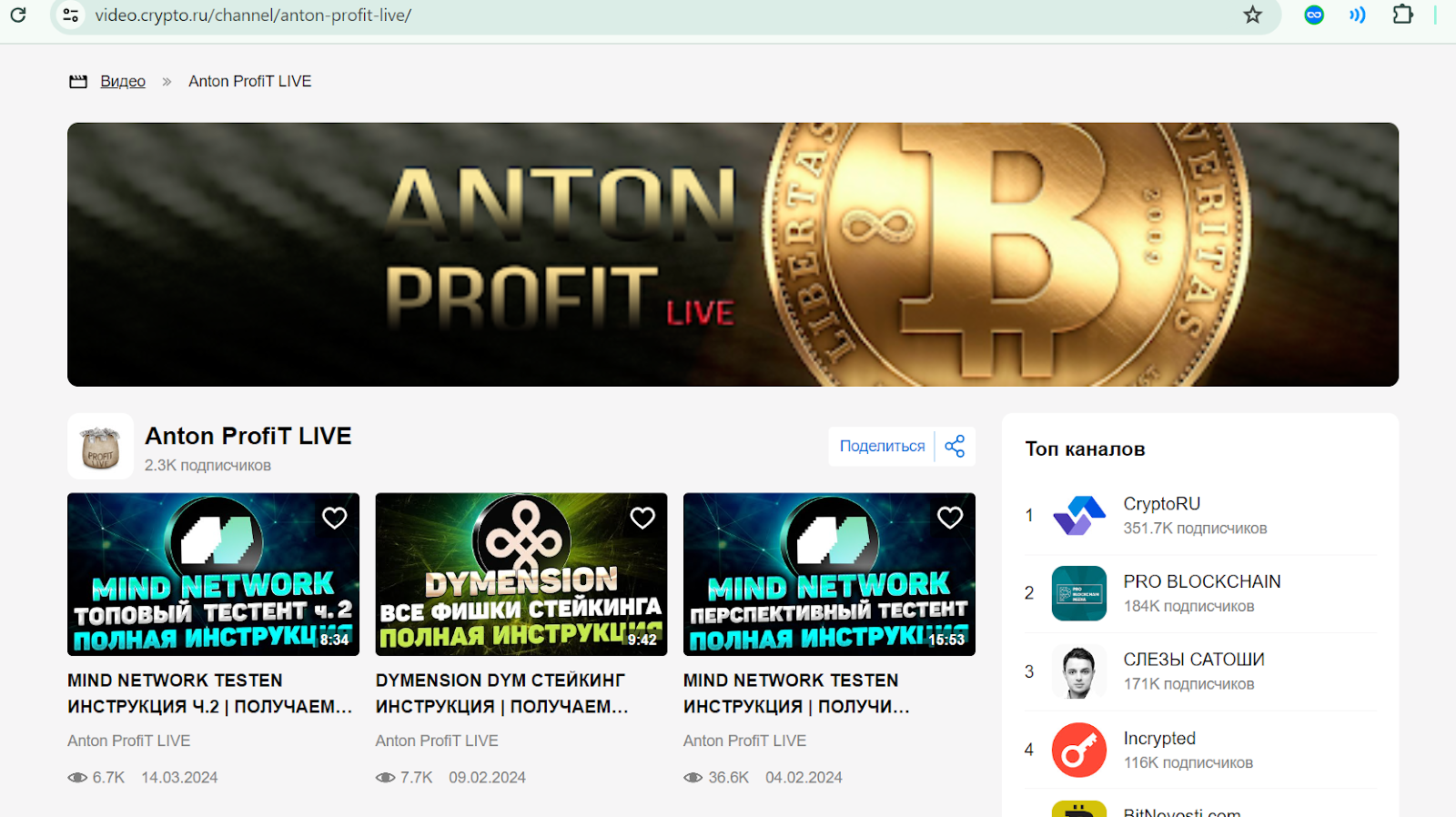 anton profit crypto