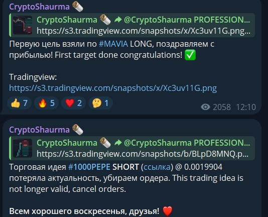 cryptoshaurma bot