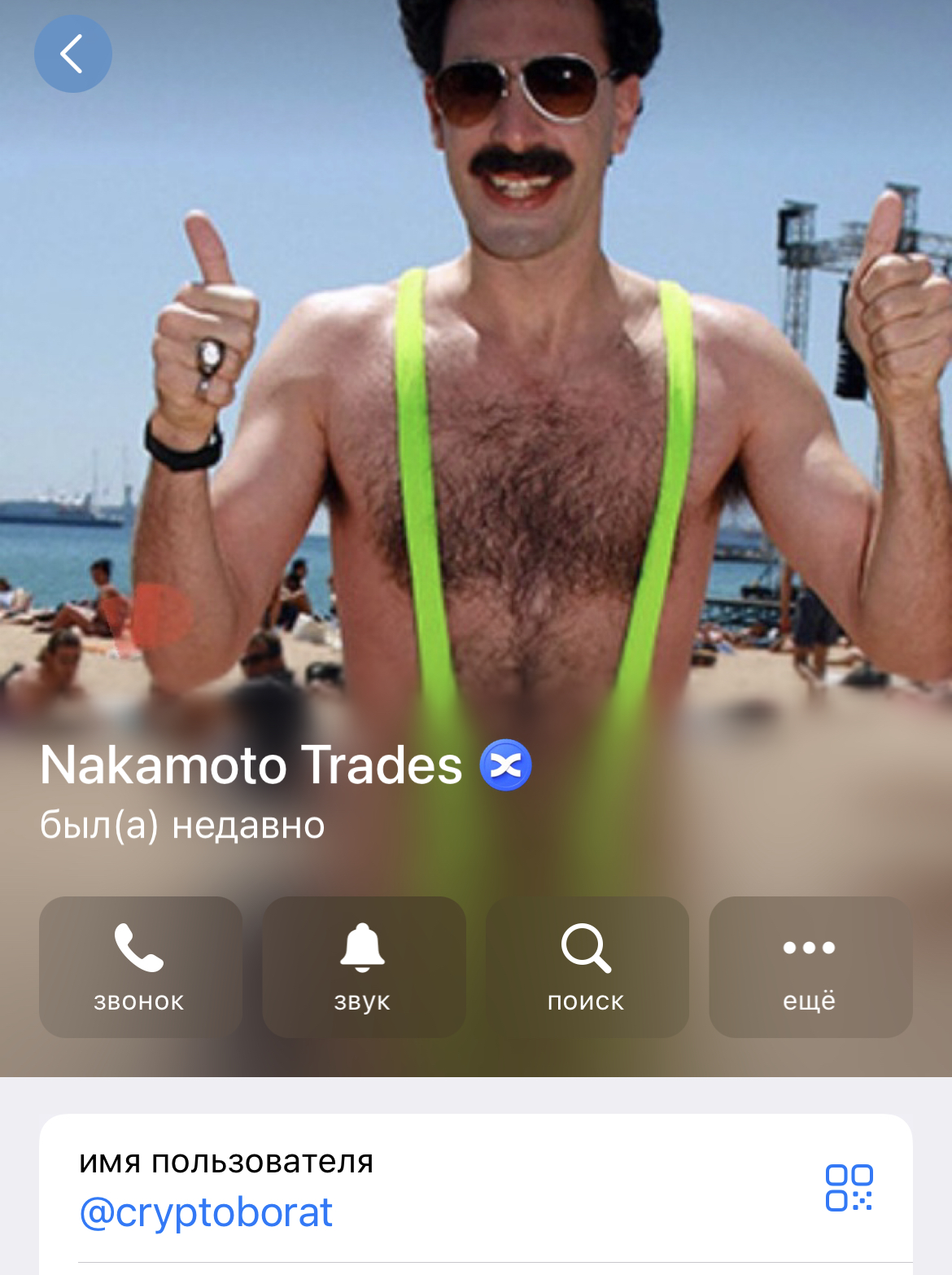 nakamoto trades отзывы