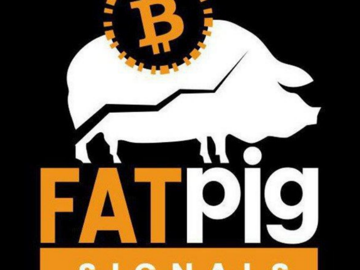 Fat Pig Signals отзывы : разоблачение скам — трейдера в Телеграмме  Fatpigsignals Com