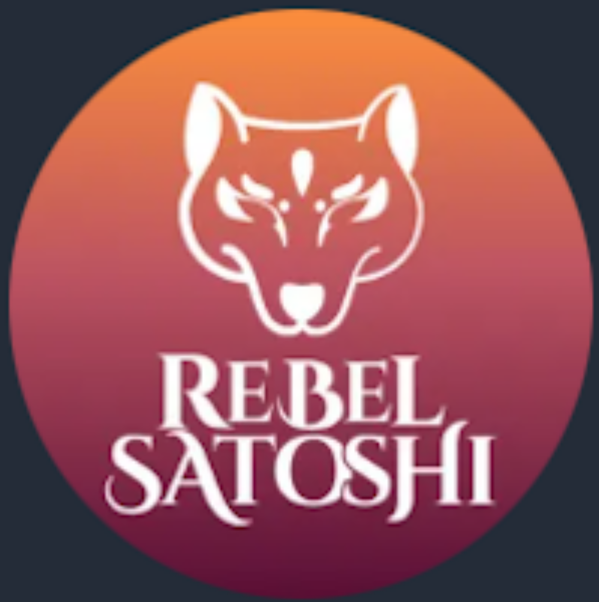 Satoshi News отзывы : разоблачение скам — криптовалюты ( монеты )  Rebelsatoshi Rblz