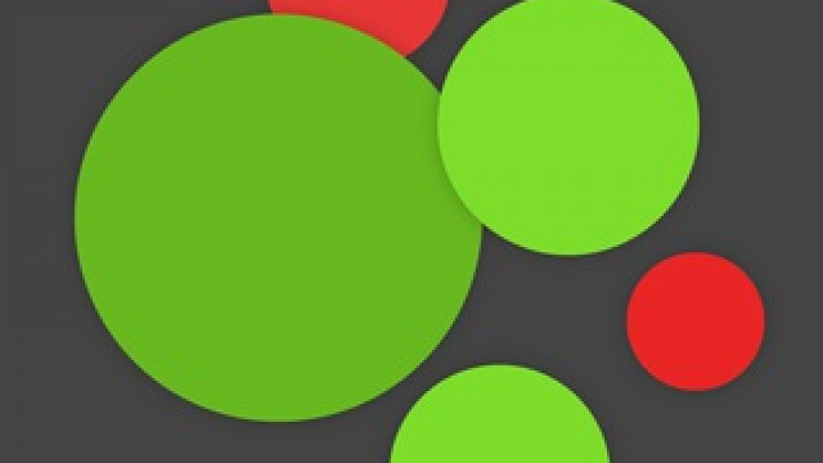 Crypto Bubbles отзывы : разоблачение скам — биржи мошенников Cryptobubbles  Net