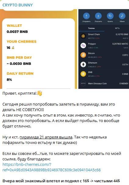 crypto bunny телеграмм