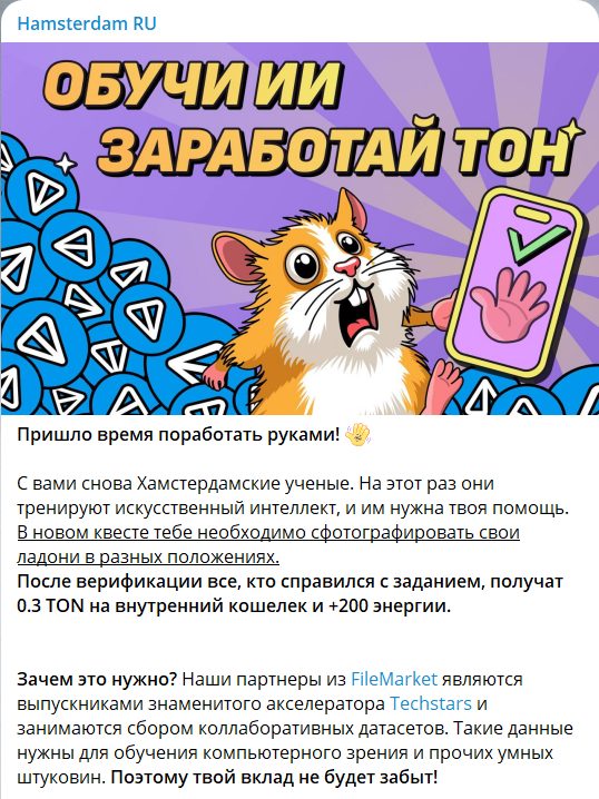 hamsterdam крипта