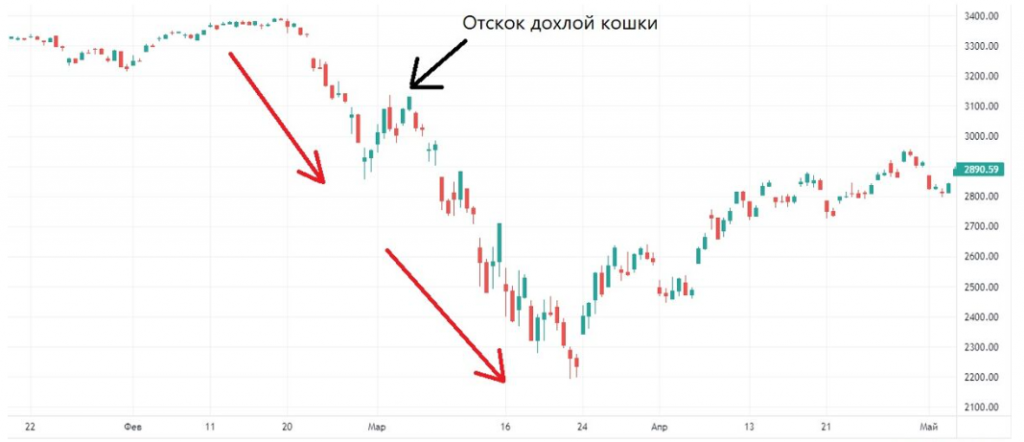 Отскок дохлой кошки на графике