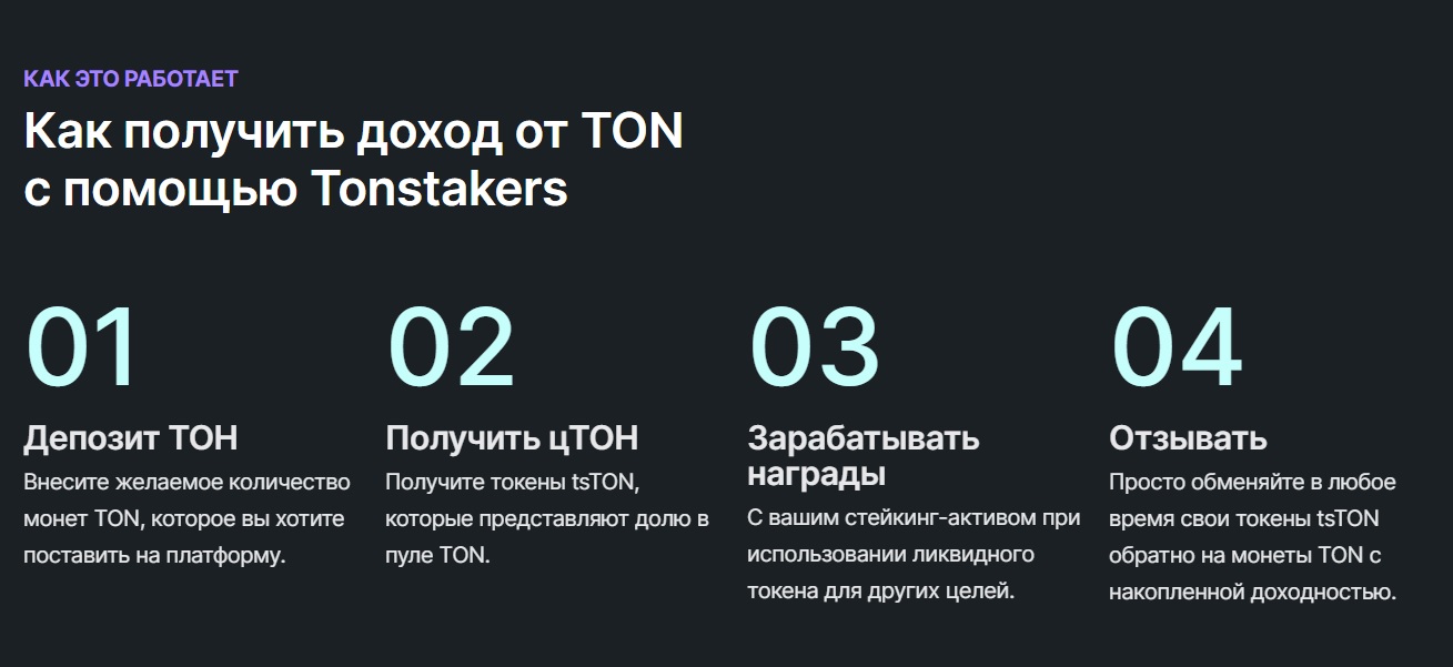 tonstaker проект