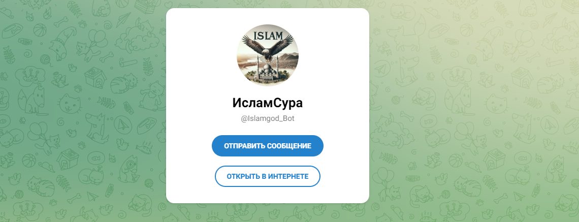 islamsura отзывы