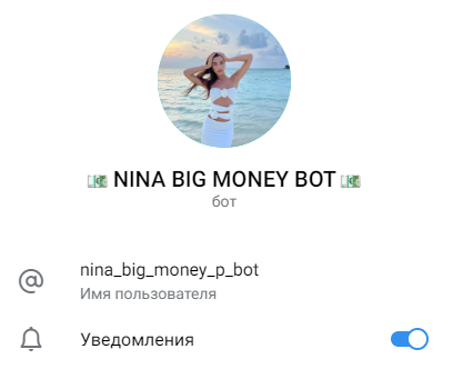 money nina finance отзывы