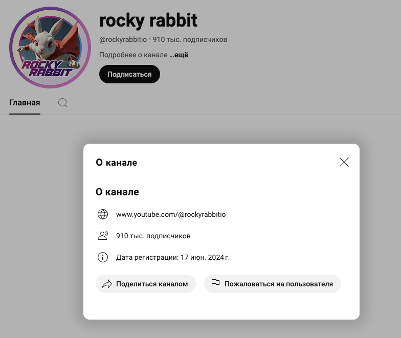 rocky rabbit bot