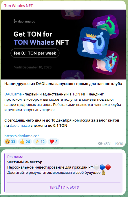 tonwhales com