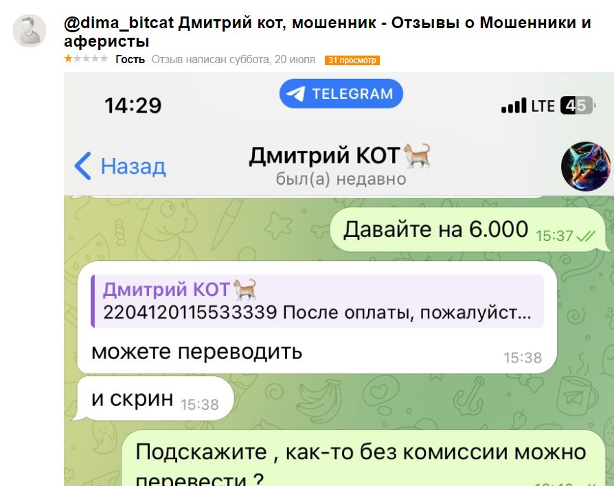 Bit Cat крипта отзывы