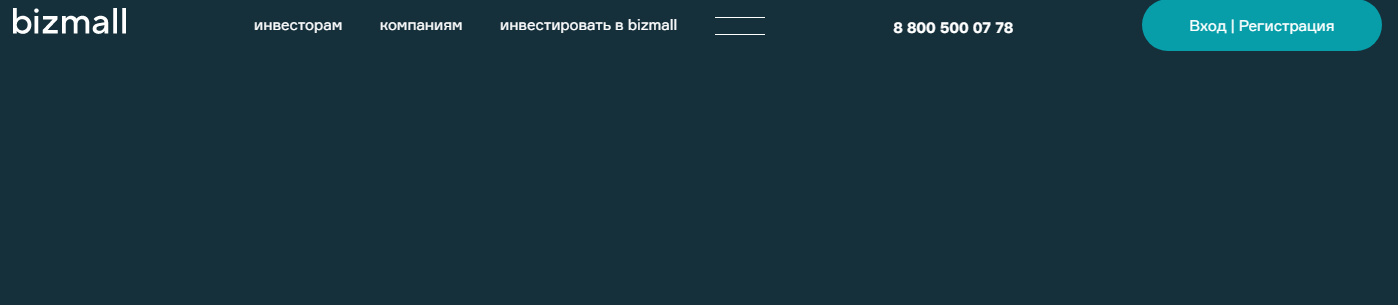 bizmall ru отзывы