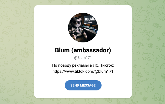 blum ambassador