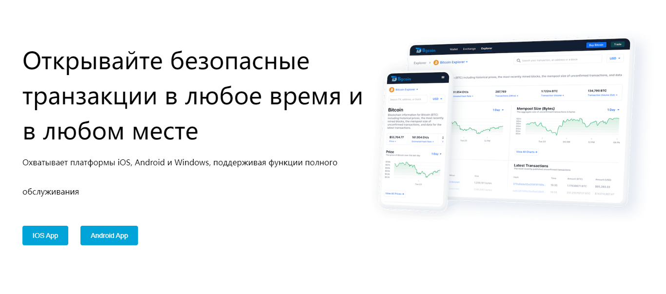 что за сайт bgcoin