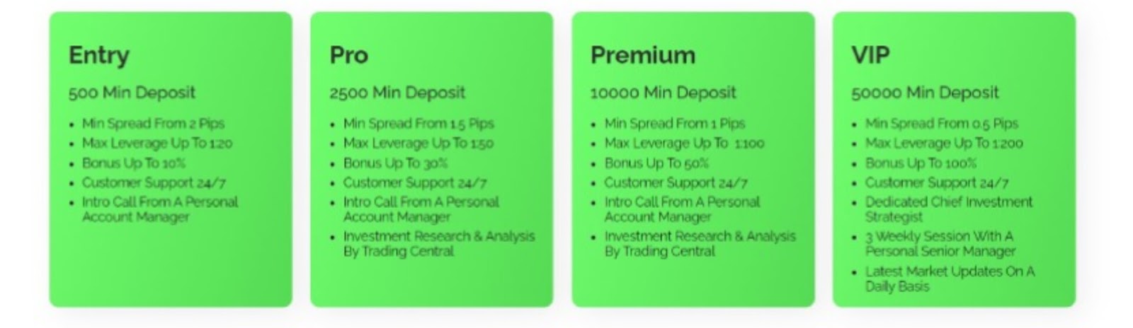 richinxin платформа