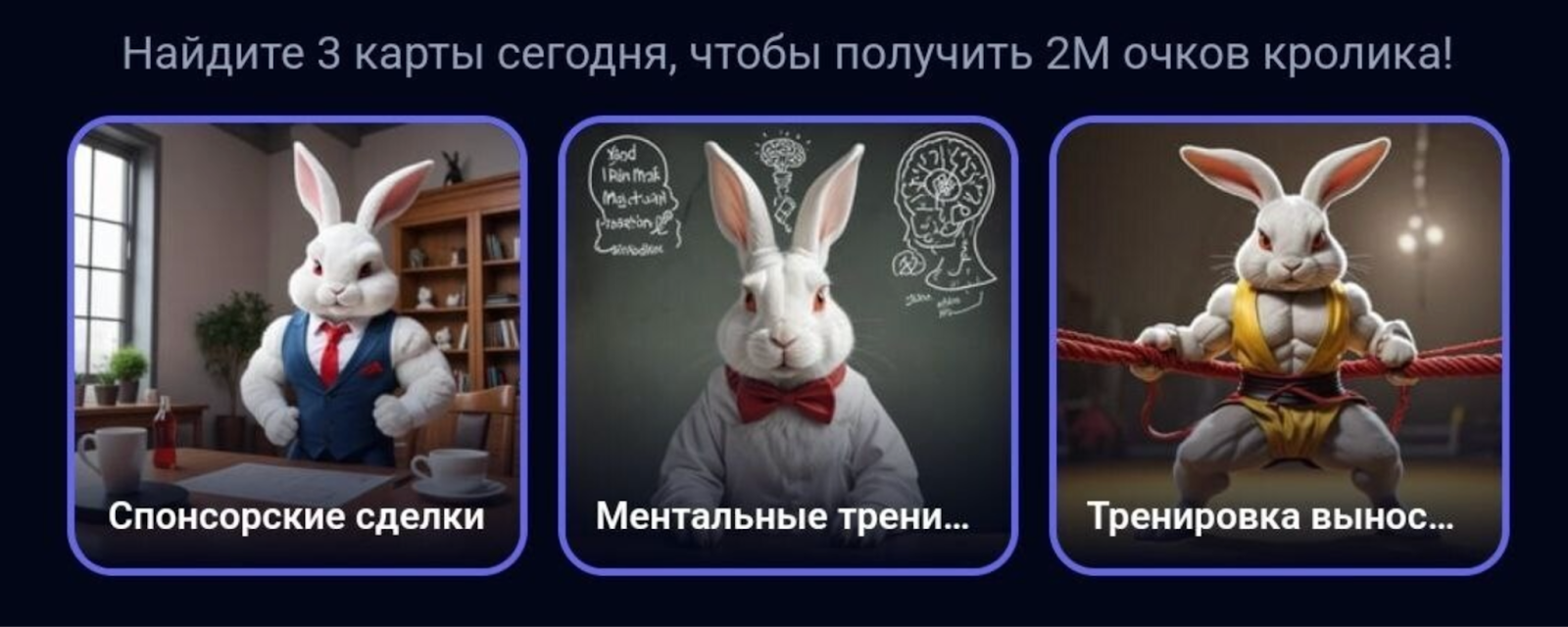 rocky rabbit комбо сегодня