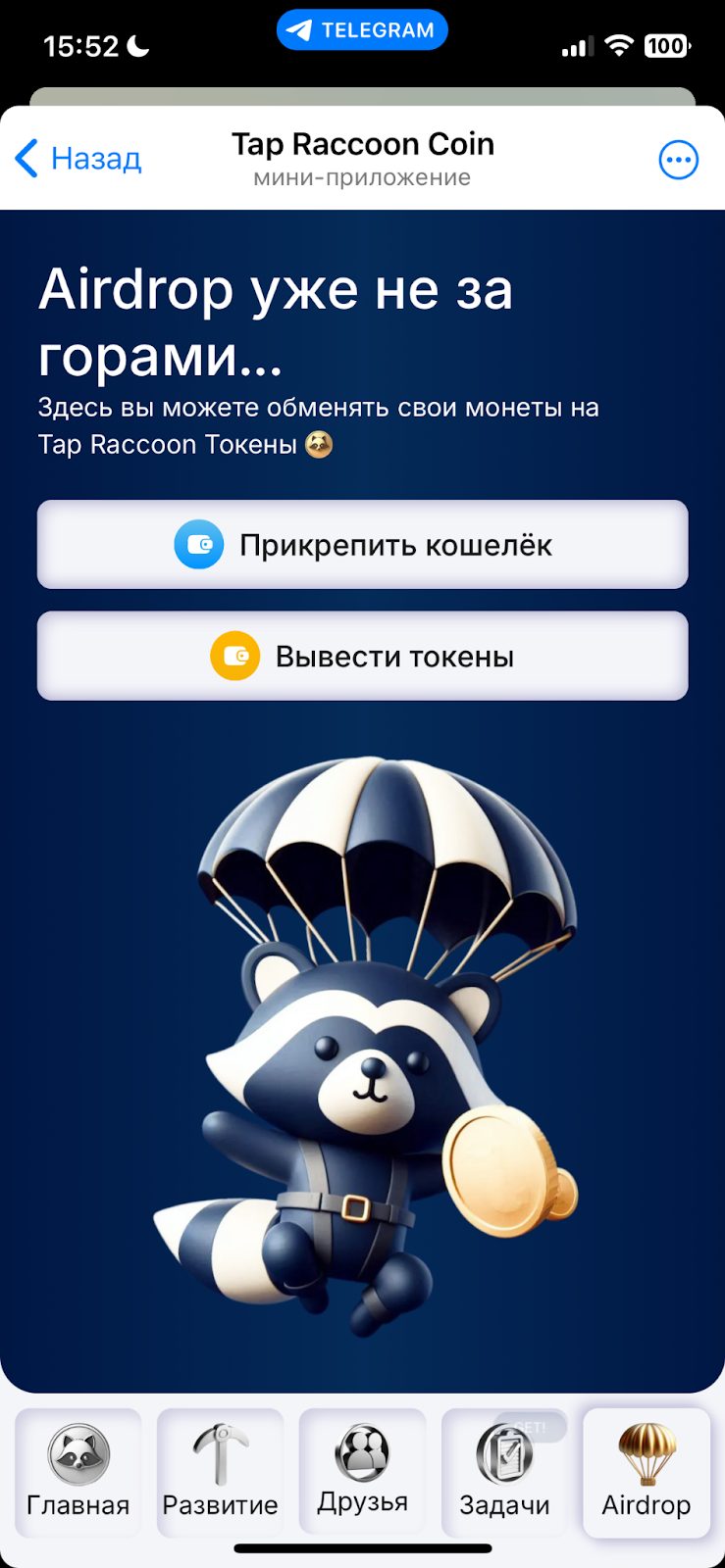 tapraccooncoin telegram