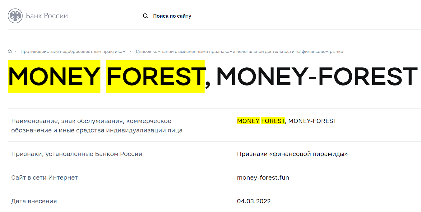 money forest xyz