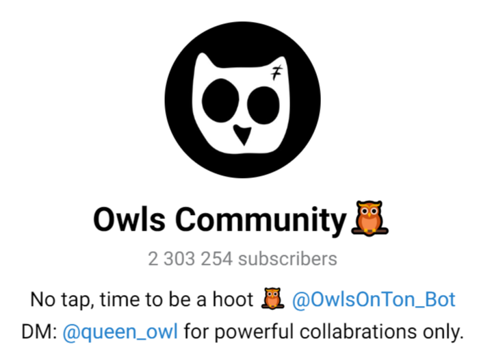 owls telegram