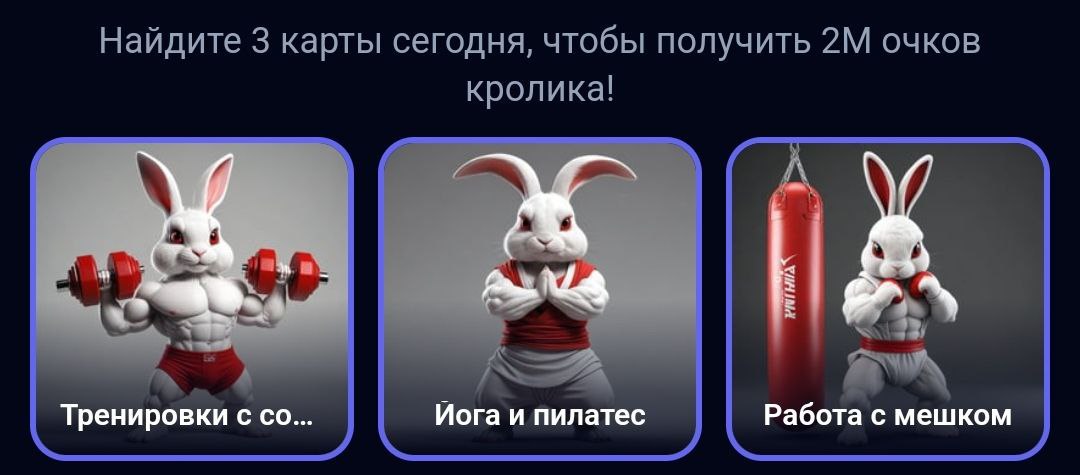 Rocky Rabbit комбо дня