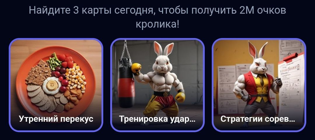 rocky rabbit комбо сегодня