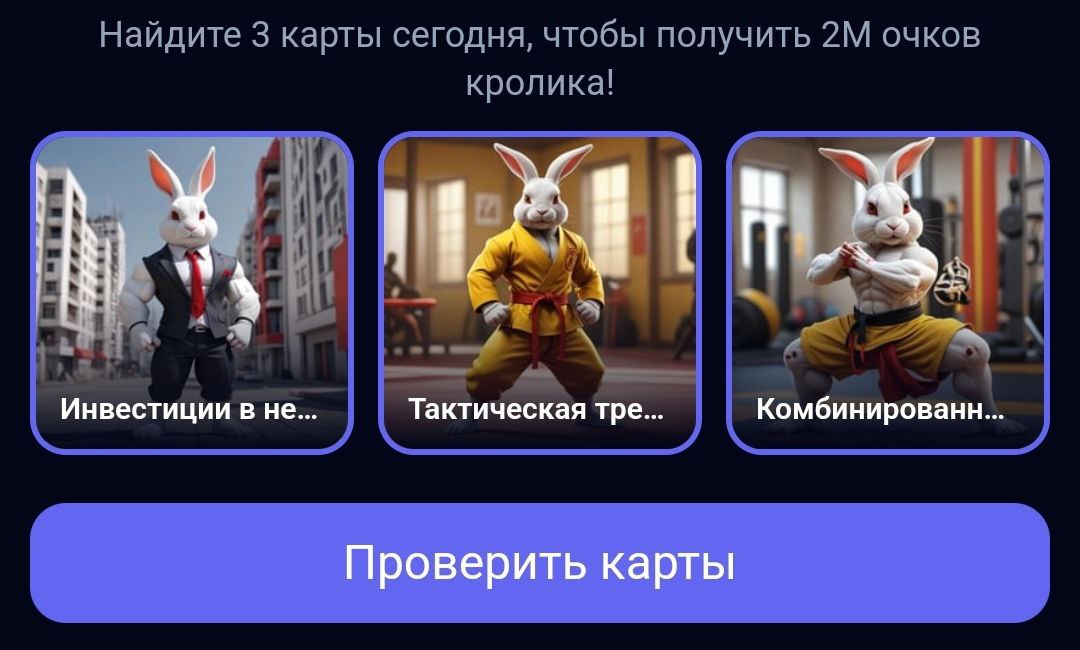 rocky rabbit комбо сегодня