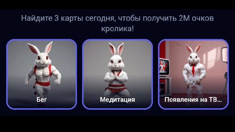 Rocky Rabbit на сегодня