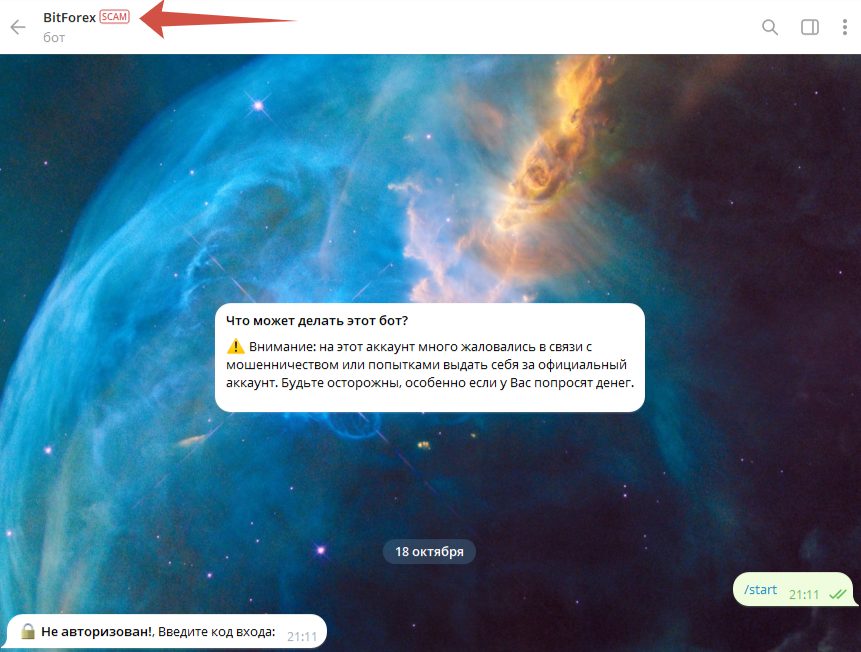 битфорекс бот