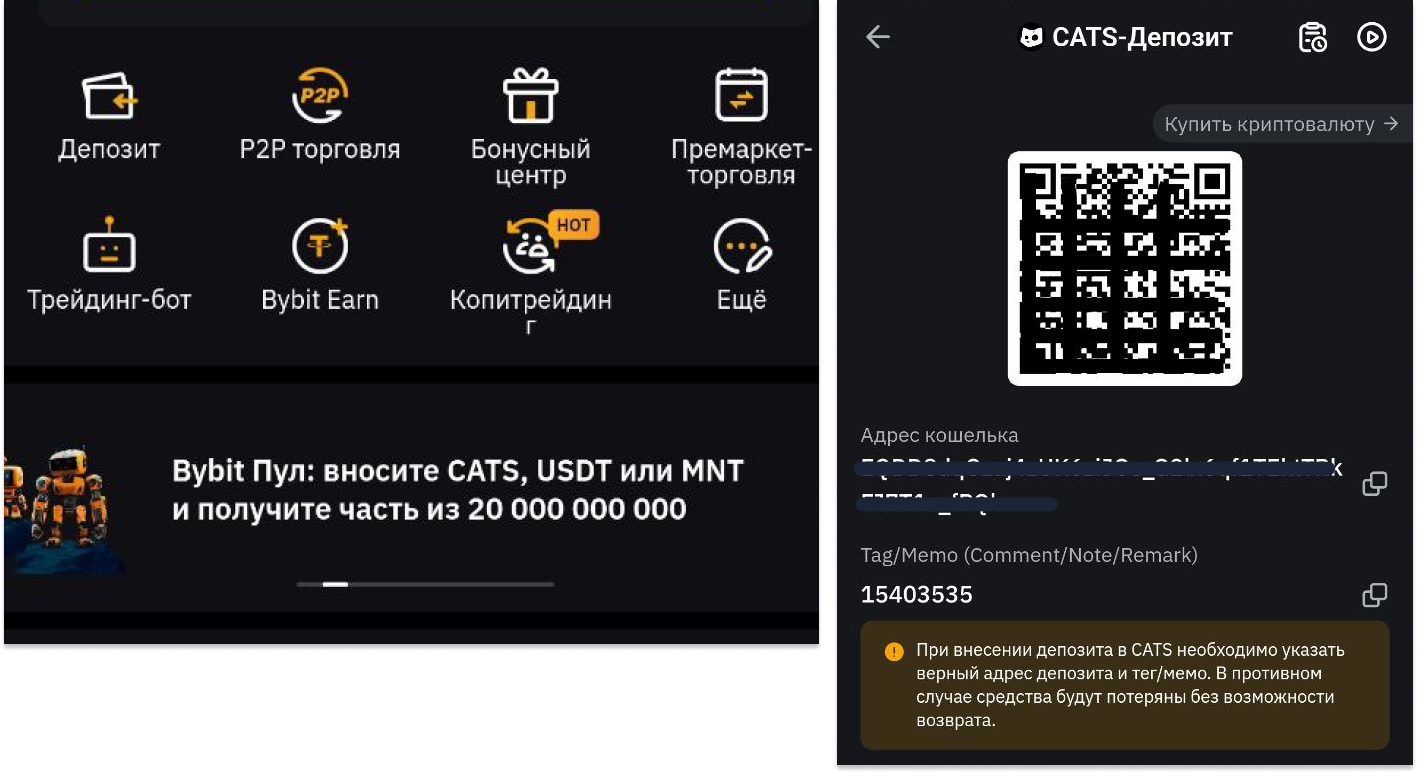 cats coin листинг