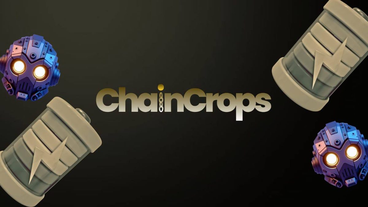 ChainCrops комбо сегодня