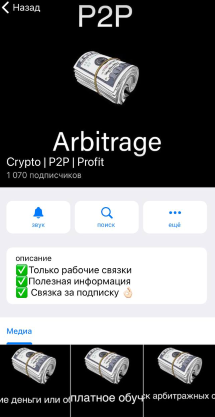 dima crypto