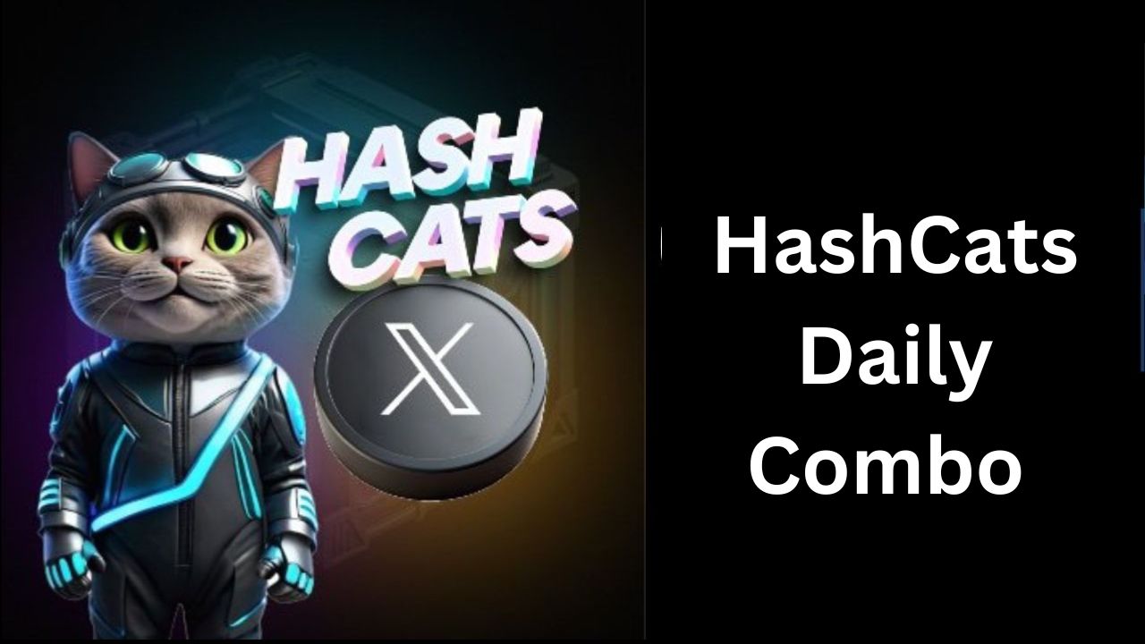 Hashcats комбо дня