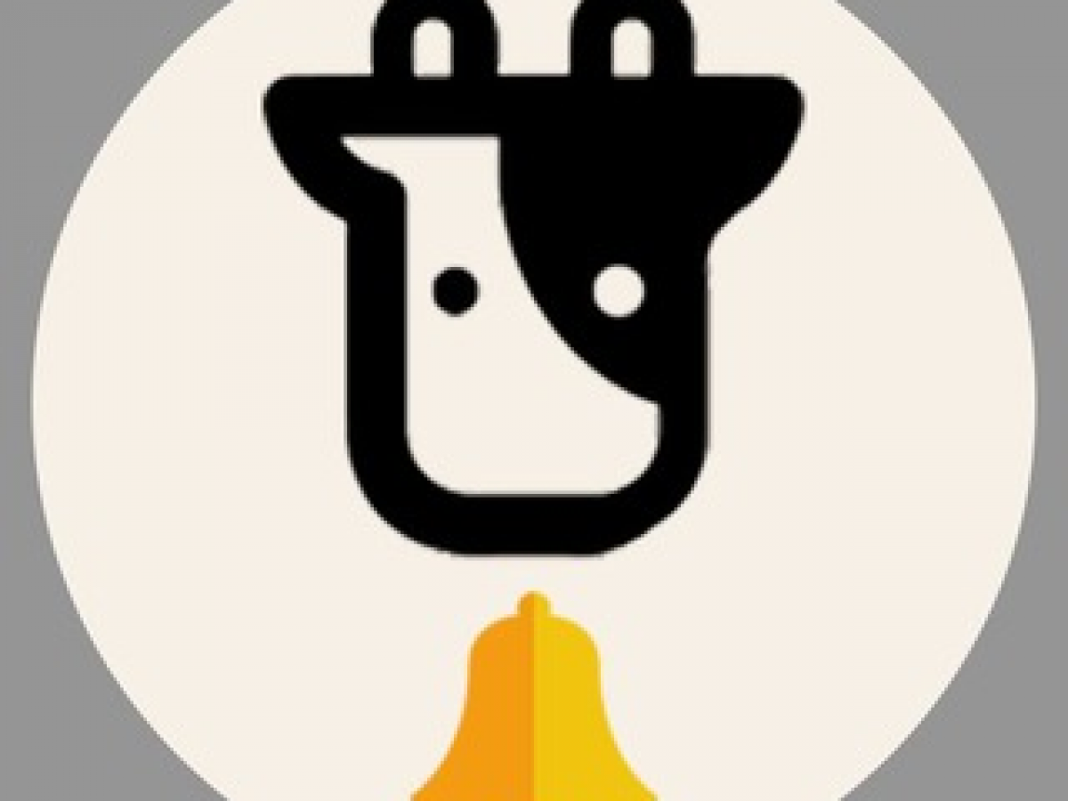 App Beefy Finance отзывы : разоблачение скам — биржи мошенников Bifinews