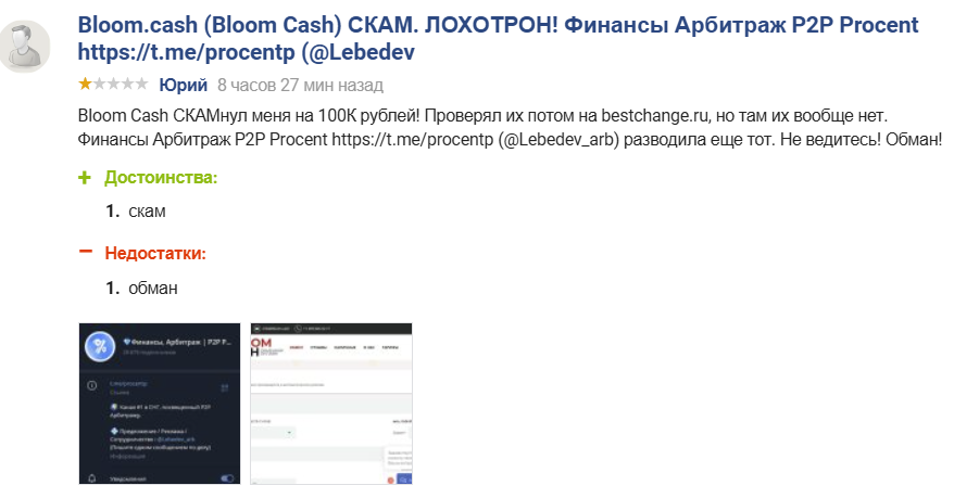 bloom cash обзор