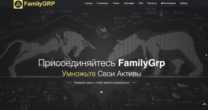 family group инвестиции