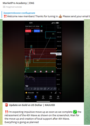 marketpro отзывы