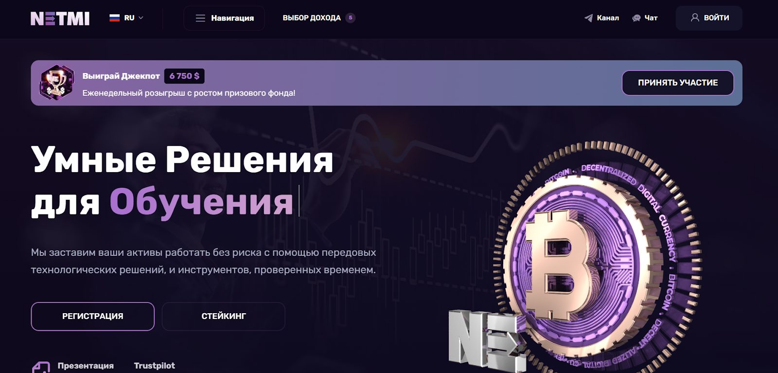 netmi обзор