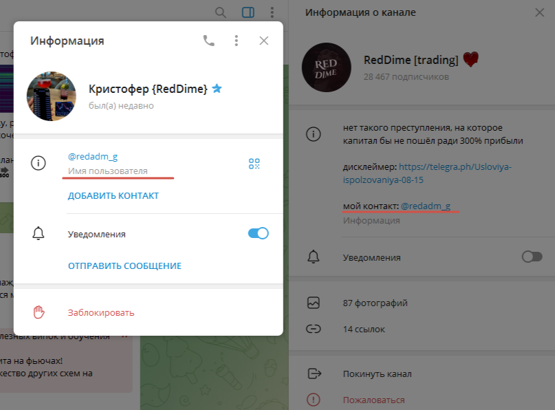 reddime тг канал