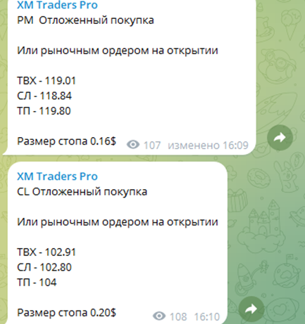 xm traders отзывы