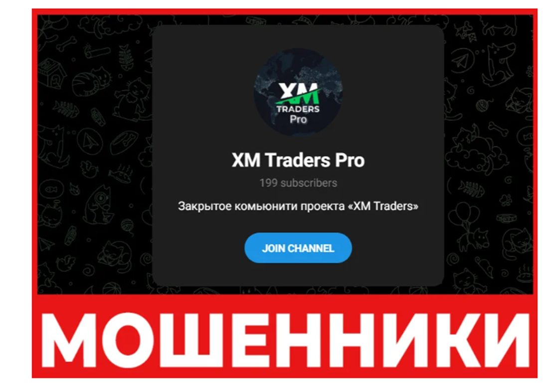 xm traders pro