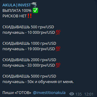 akula invest