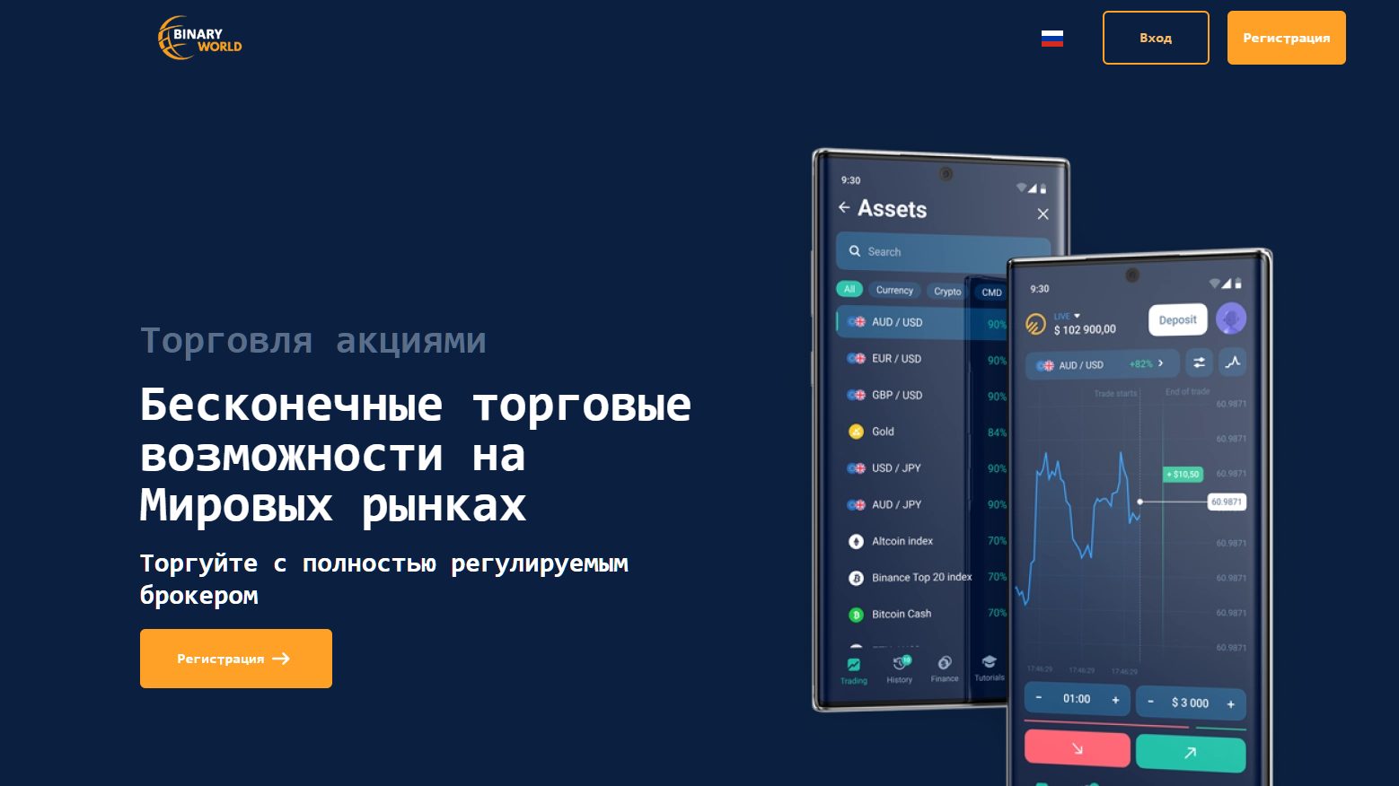 binary world платформа