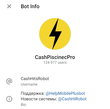 cashhitsrobot