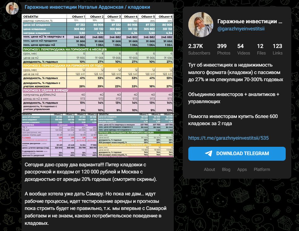 наталья ардонская инвестиции в кладовки