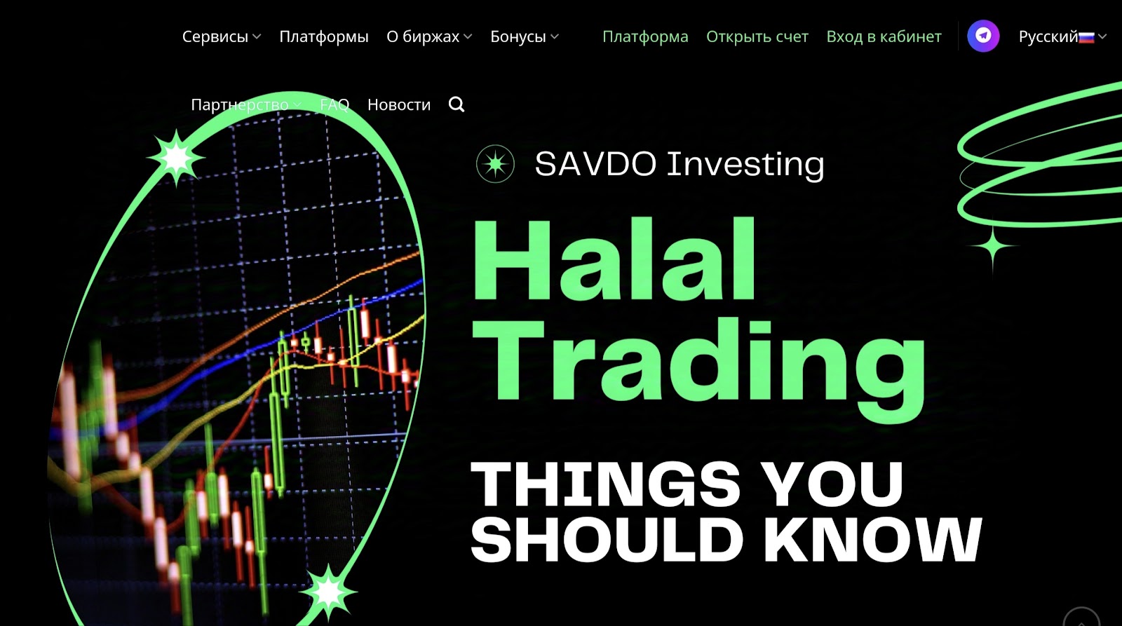 savdo invest