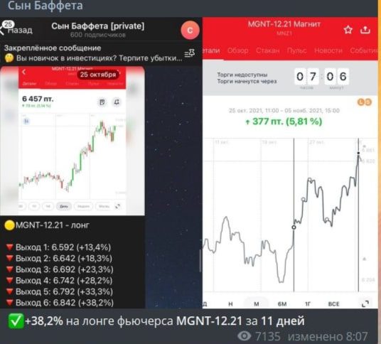 Сын Баффета проект