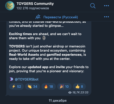 TOYGERS Community